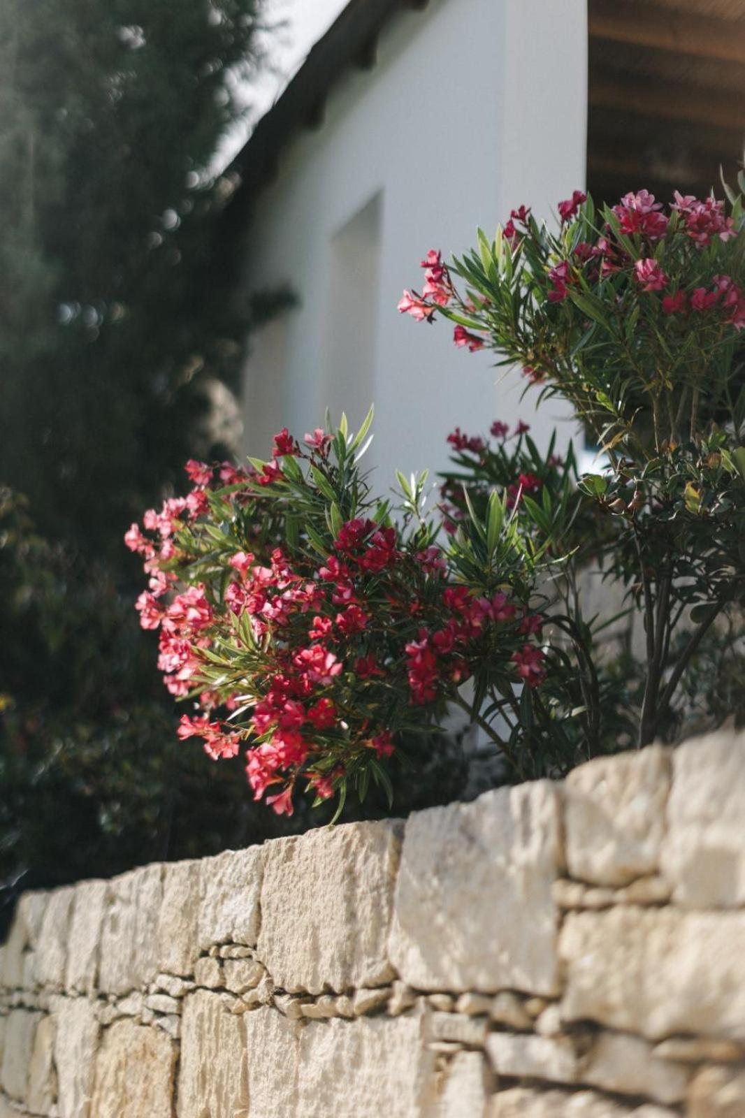 منزل الضيف Malya  في Cecilias Courtyard المظهر الخارجي الصورة